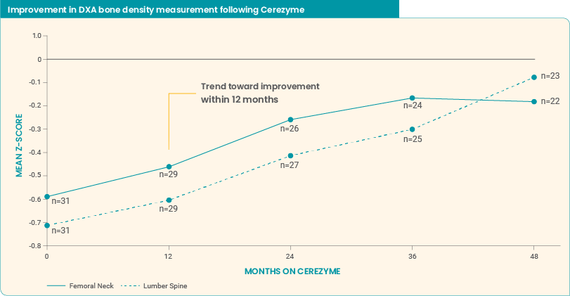 Long-term use of Cerezyme improved BMD